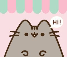 Cute Animal